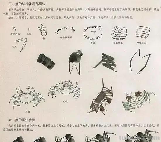 国画花鸟技法：几种虫儿、鸟儿的画法