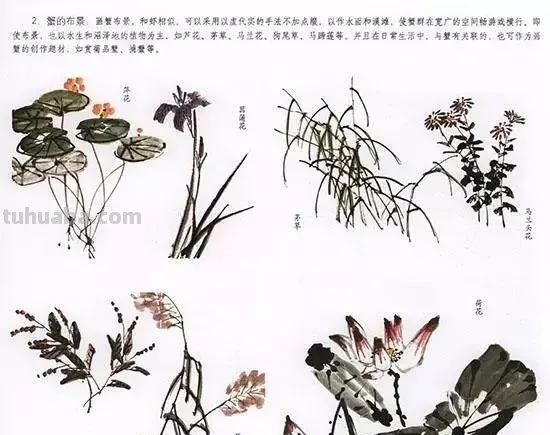 国画花鸟技法：几种虫儿、鸟儿的画法