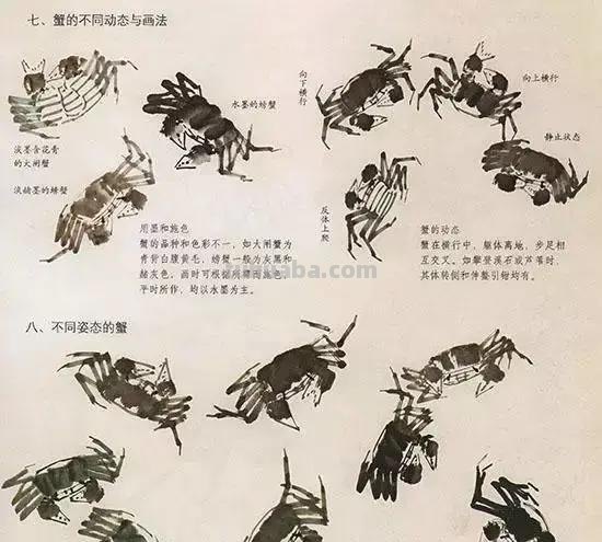 国画花鸟技法：几种虫儿、鸟儿的画法