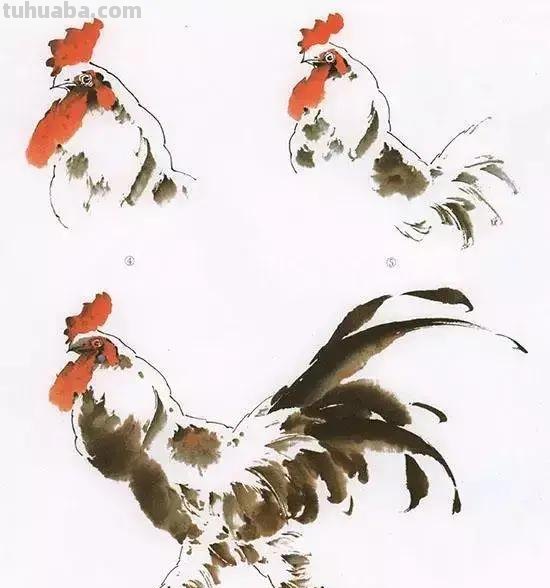 国画花鸟技法：几种虫儿、鸟儿的画法