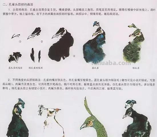 国画花鸟技法：几种虫儿、鸟儿的画法