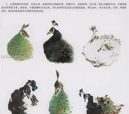 国画花鸟技法：几种虫儿、鸟儿的画法