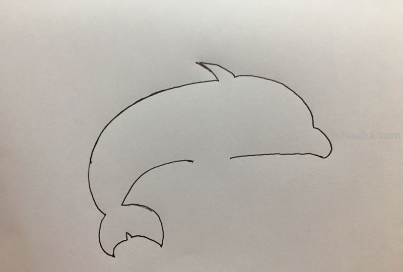 简笔画-呆萌可爱小海豚