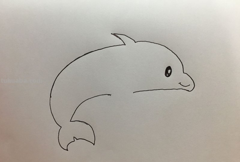 简笔画-呆萌可爱小海豚