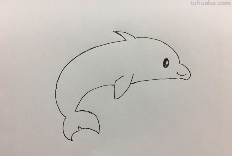 简笔画-呆萌可爱小海豚