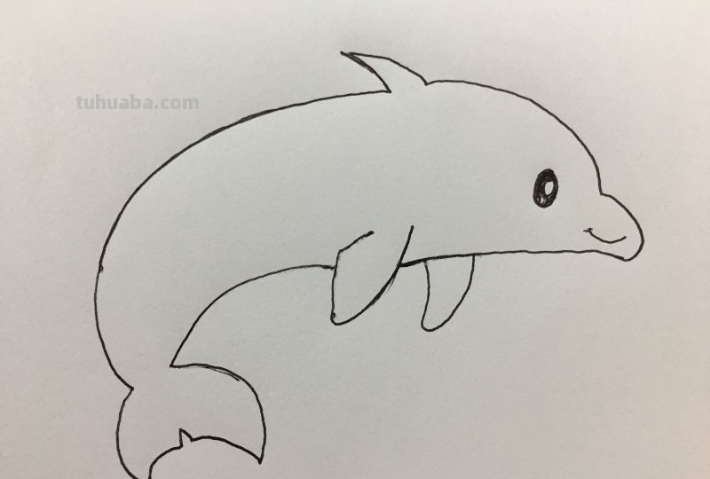 简笔画-呆萌可爱小海豚