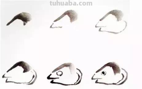 图文教程：国画鱼的写意画法，国画初学者鱼的各种画法步骤详解