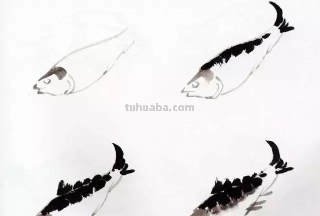 图文教程：国画鱼的写意画法，国画初学者鱼的各种画法步骤详解