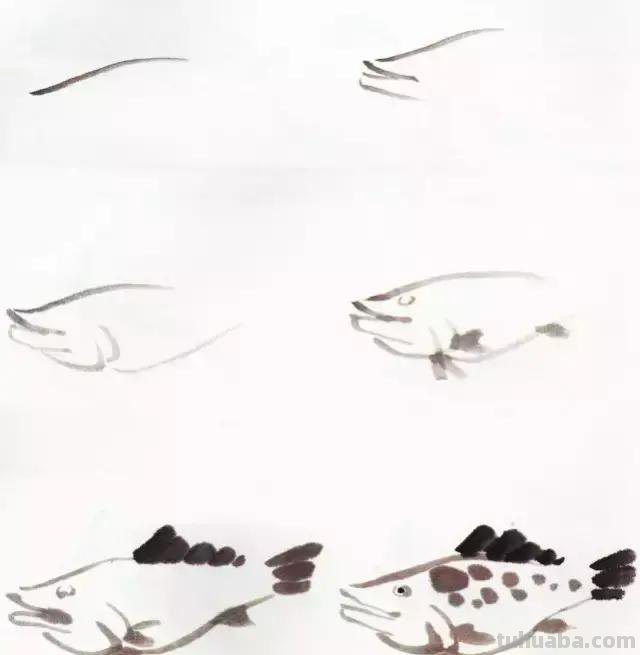图文教程：国画鱼的写意画法，国画初学者鱼的各种画法步骤详解
