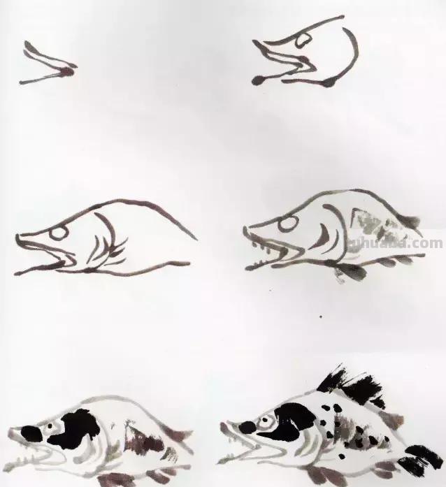 图文教程：国画鱼的写意画法，国画初学者鱼的各种画法步骤详解