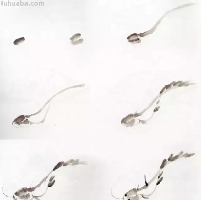 图文教程：国画鱼的写意画法，国画初学者鱼的各种画法步骤详解