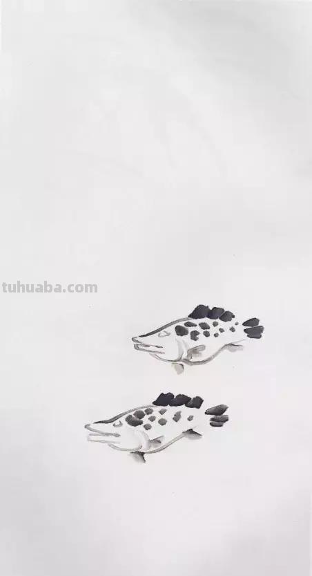 图文教程：国画鱼的写意画法，国画初学者鱼的各种画法步骤详解