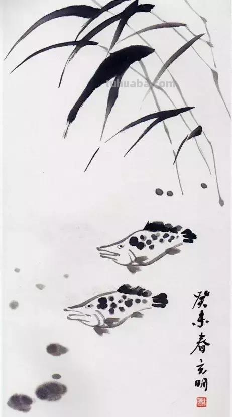 图文教程：国画鱼的写意画法，国画初学者鱼的各种画法步骤详解