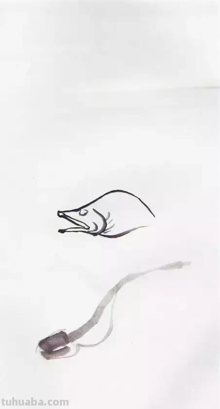 图文教程：国画鱼的写意画法，国画初学者鱼的各种画法步骤详解