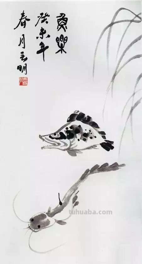 图文教程：国画鱼的写意画法，国画初学者鱼的各种画法步骤详解