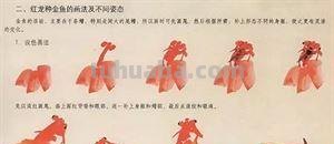 图文教程：国画鱼的写意画法，国画初学者鱼的各种画法步骤详解