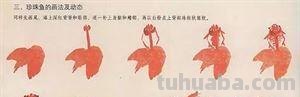 图文教程：国画鱼的写意画法，国画初学者鱼的各种画法步骤详解