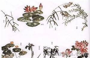 图文教程：国画鱼的写意画法，国画初学者鱼的各种画法步骤详解