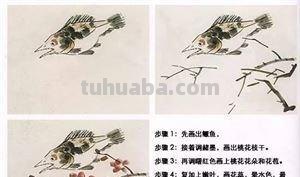 图文教程：国画鱼的写意画法，国画初学者鱼的各种画法步骤详解
