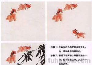 图文教程：国画鱼的写意画法，国画初学者鱼的各种画法步骤详解