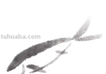 草鱼不会画?那是你没有学会这几点画法,学会几分钟画《鱼乐图》 草鱼不会画?那是你没有学会这几点画法,学会几分钟画《鱼乐图》
