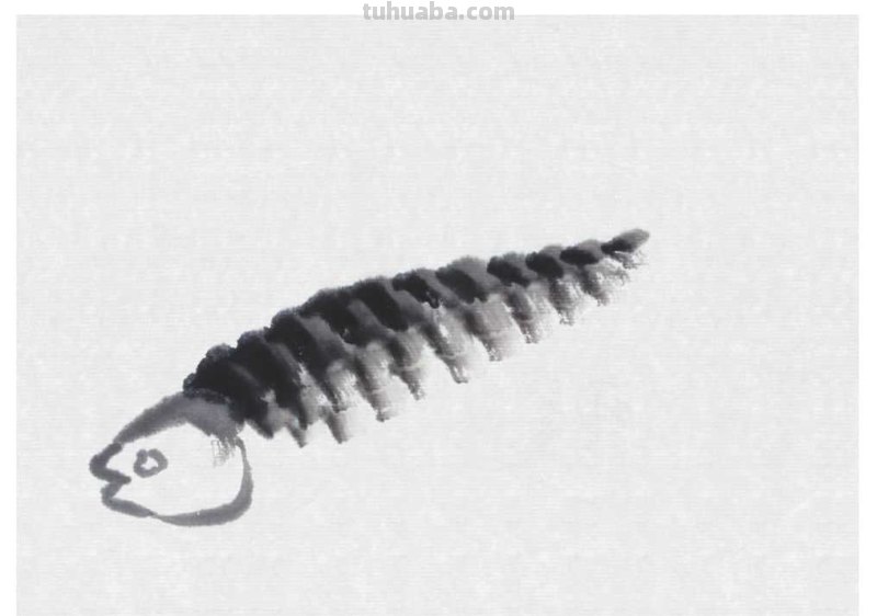 草鱼不会画?那是你没有学会这几点画法,学会几分钟画《鱼乐图》 草鱼不会画?那是你没有学会这几点画法,学会几分钟画《鱼乐图》