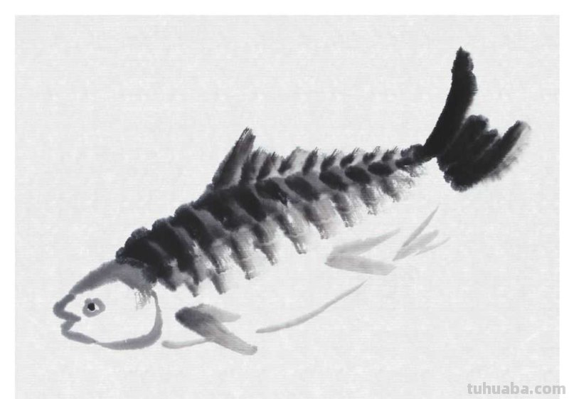 草鱼不会画?那是你没有学会这几点画法,学会几分钟画《鱼乐图》 草鱼不会画?那是你没有学会这几点画法,学会几分钟画《鱼乐图》