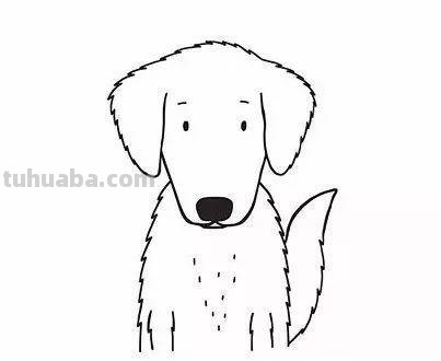 每天学一幅简笔画-超级简单的小动物简笔画大全