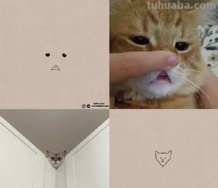 你和大触绘画的区别：一看就会一画就废，这波动物简笔画太形象了
