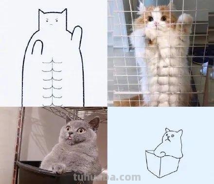 你和大触绘画的区别：一看就会一画就废，这波动物简笔画太形象了