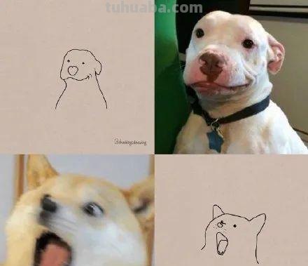 你和大触绘画的区别：一看就会一画就废，这波动物简笔画太形象了