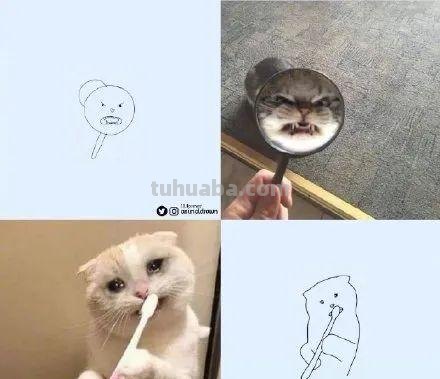 你和大触绘画的区别：一看就会一画就废，这波动物简笔画太形象了