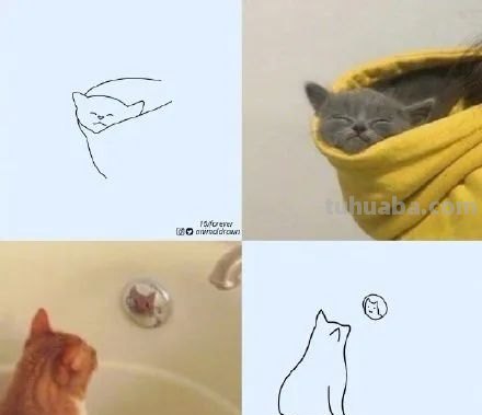 你和大触绘画的区别：一看就会一画就废，这波动物简笔画太形象了