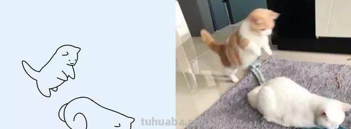 你和大触绘画的区别：一看就会一画就废，这波动物简笔画太形象了