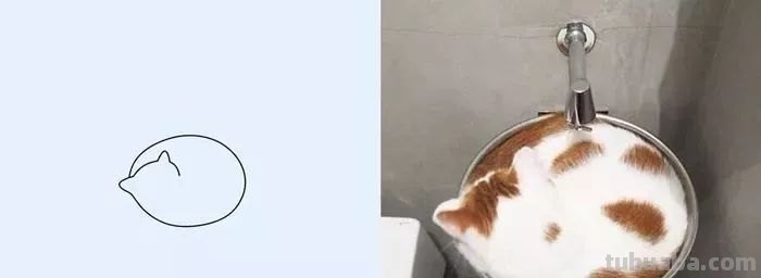 你和大触绘画的区别：一看就会一画就废，这波动物简笔画太形象了