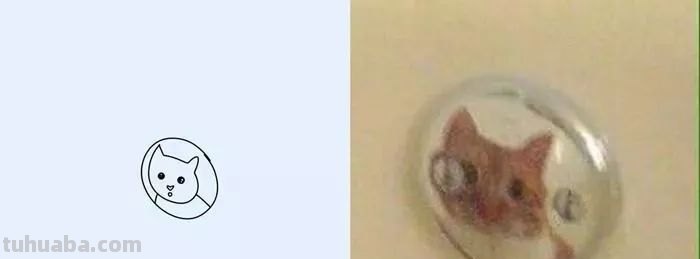 你和大触绘画的区别：一看就会一画就废，这波动物简笔画太形象了