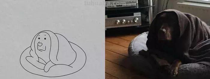 你和大触绘画的区别：一看就会一画就废，这波动物简笔画太形象了