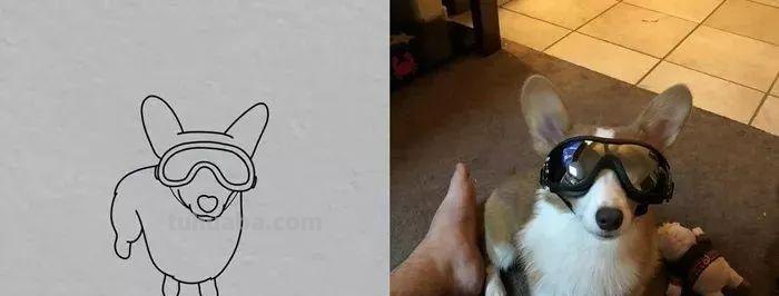 你和大触绘画的区别：一看就会一画就废，这波动物简笔画太形象了