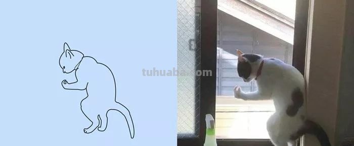 你和大触绘画的区别：一看就会一画就废，这波动物简笔画太形象了