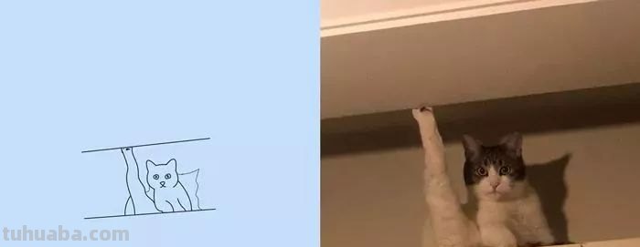 你和大触绘画的区别：一看就会一画就废，这波动物简笔画太形象了