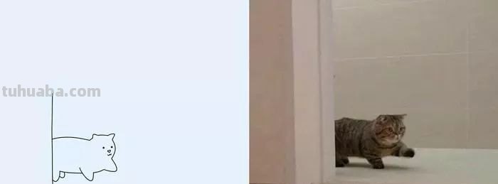 你和大触绘画的区别：一看就会一画就废，这波动物简笔画太形象了