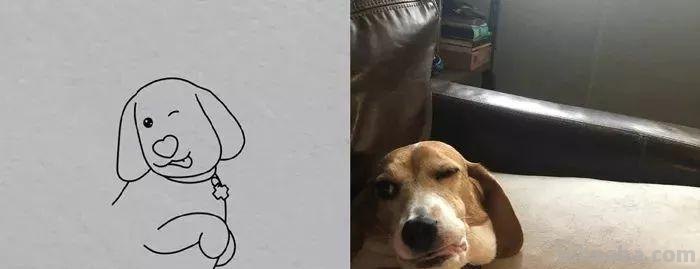 你和大触绘画的区别：一看就会一画就废，这波动物简笔画太形象了