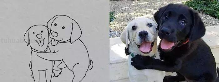 你和大触绘画的区别：一看就会一画就废，这波动物简笔画太形象了