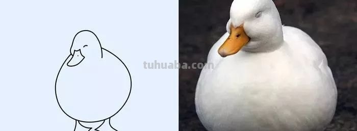 你和大触绘画的区别：一看就会一画就废，这波动物简笔画太形象了