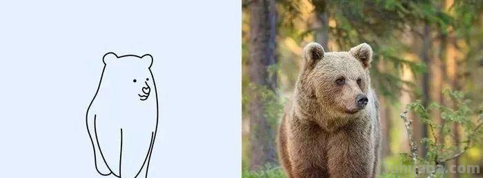 你和大触绘画的区别：一看就会一画就废，这波动物简笔画太形象了