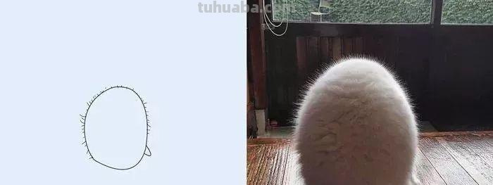 你和大触绘画的区别：一看就会一画就废，这波动物简笔画太形象了