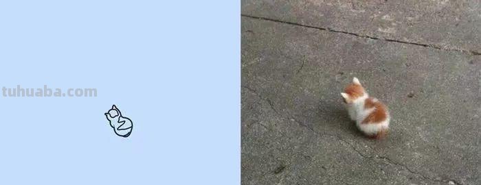 你和大触绘画的区别：一看就会一画就废，这波动物简笔画太形象了
