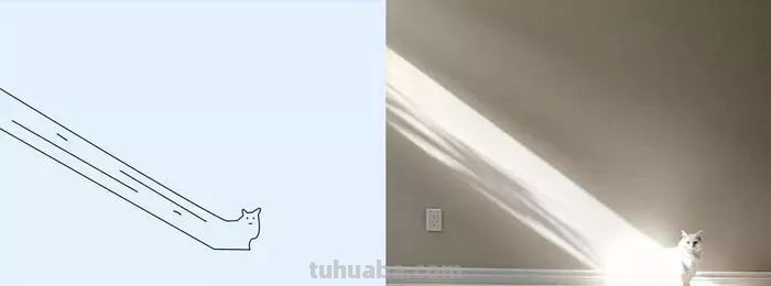你和大触绘画的区别：一看就会一画就废，这波动物简笔画太形象了
