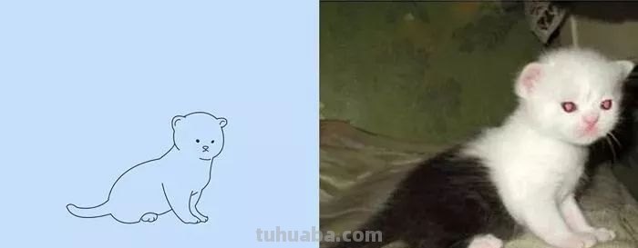你和大触绘画的区别：一看就会一画就废，这波动物简笔画太形象了
