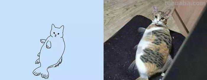 你和大触绘画的区别：一看就会一画就废，这波动物简笔画太形象了